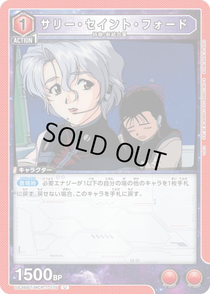 画像1: 《サリー・セイント・フォード》 (1)