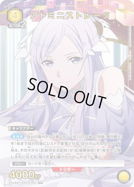 画像1: 《アドミニストレータ》 (1)