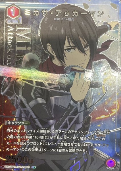 画像1: 《ミカサ・アッカーマン》 (1)