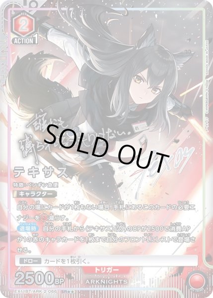 画像1: 《テキサス》 (1)