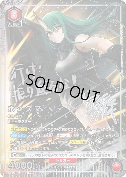 画像1: 《ホシグマ》 (1)