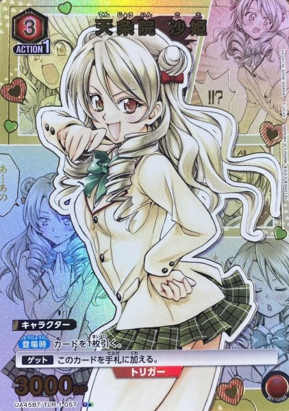 画像1: 《天条院 沙姫》 (1)