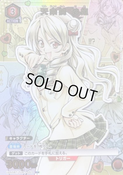 画像1: 《天条院 沙姫》 (1)