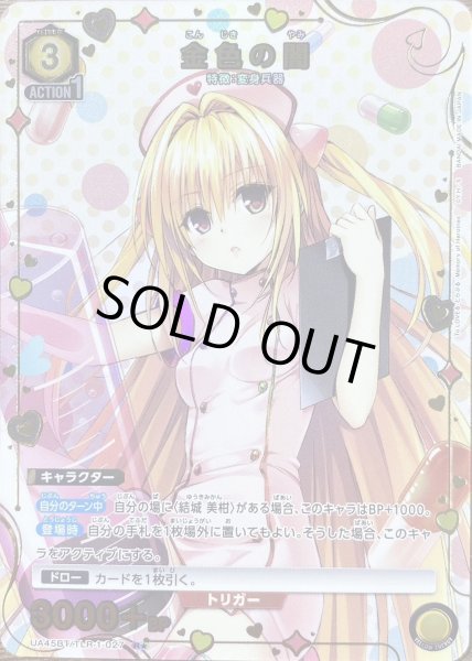 画像1: 《金色の闇》 (1)