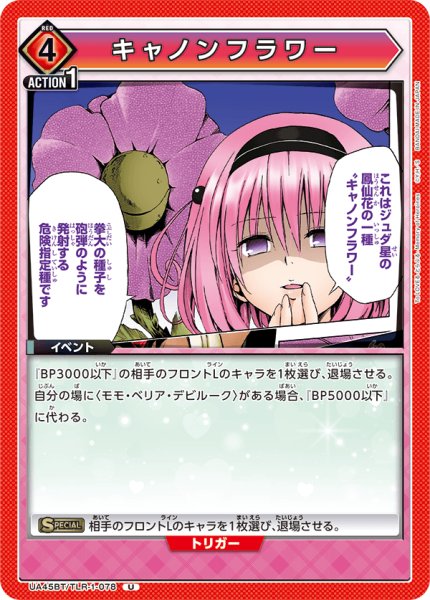 画像1: 《キャノンフラワー》 (1)