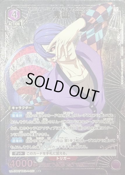 画像1: 月山 習 (1)