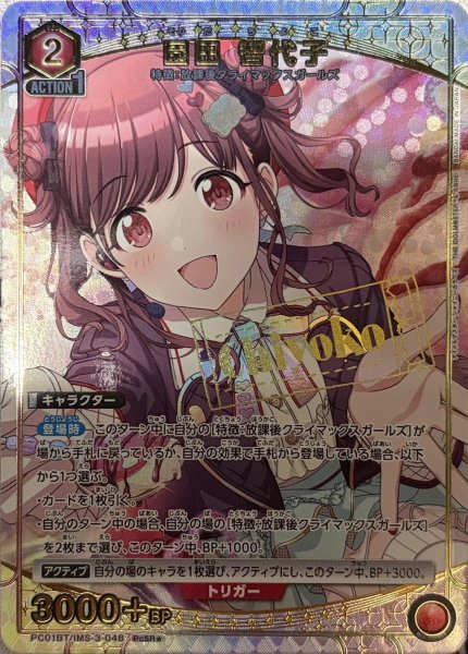 画像1: 園田 智代子 (1)