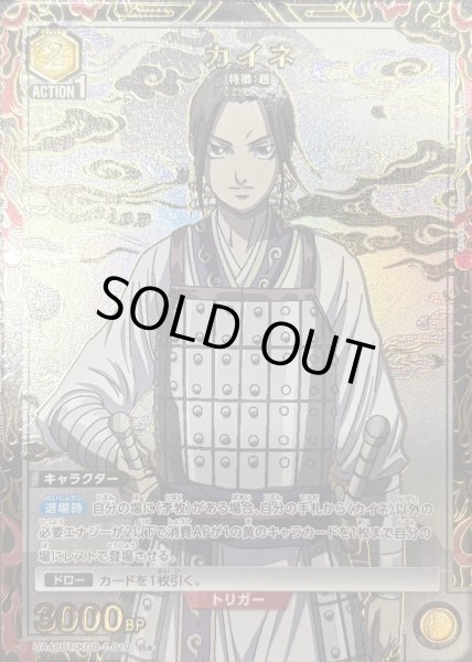 画像1: カイネ (1)