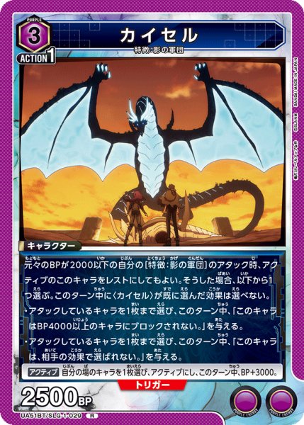 画像1: カイセル (1)