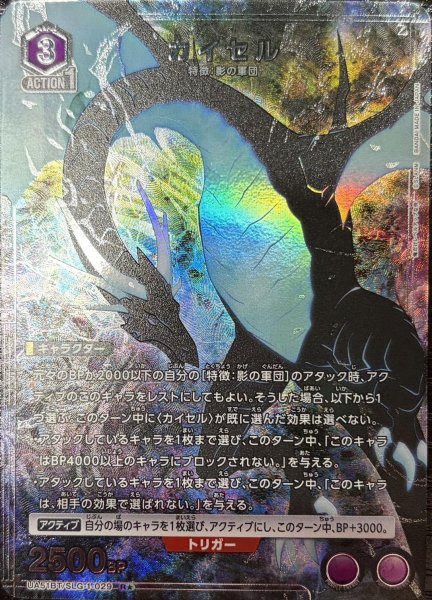 画像1: カイセル (1)