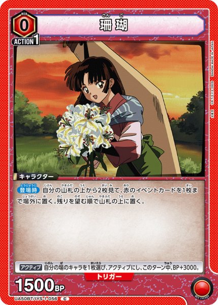画像1: 珊瑚 (1)