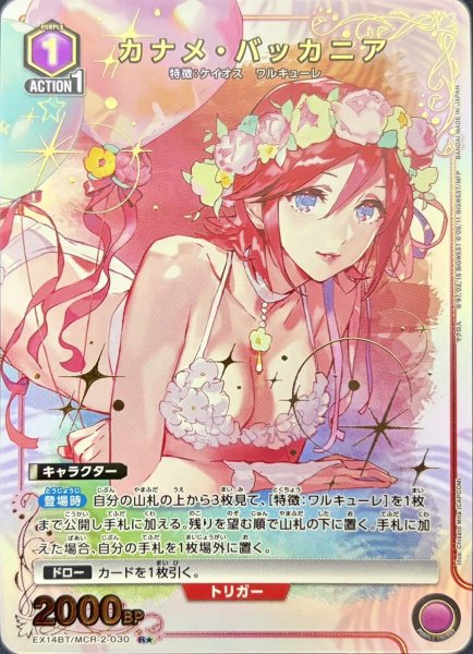 画像1: カナメ・バッカニア (1)