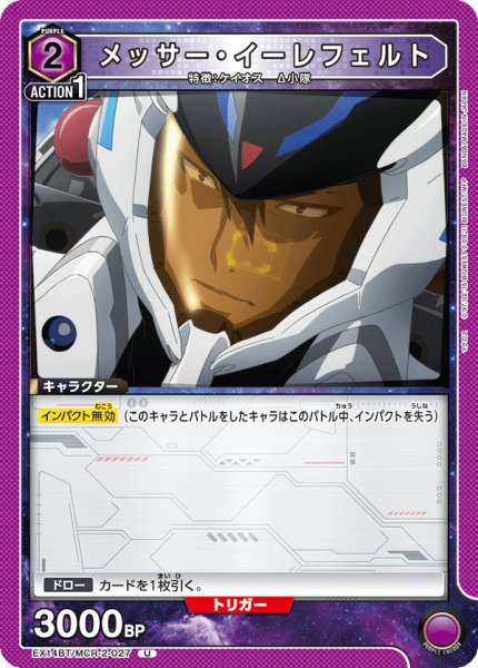 画像1: メッサー・イーレフェルト (1)