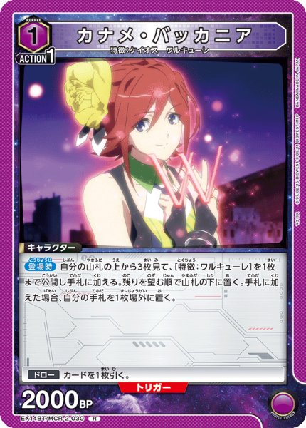 画像1: カナメ・バッカニア (1)