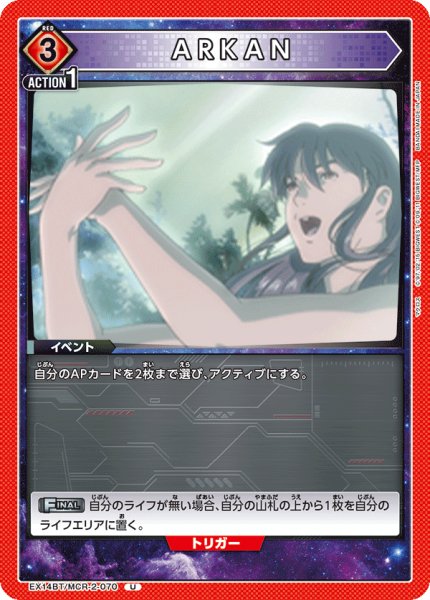 画像1: ARKAN (1)