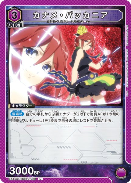 画像1: カナメ・バッカニア (1)