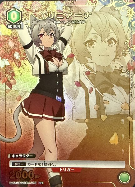 画像1: リニアーナ (1)