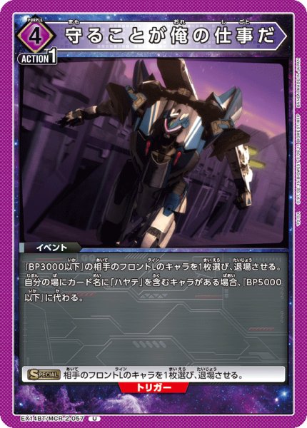 画像1: 守ることが俺の仕事だ (1)