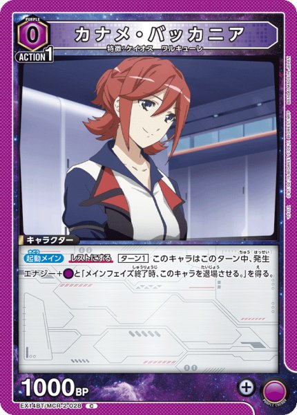 画像1: カナメ・バッカニア (1)