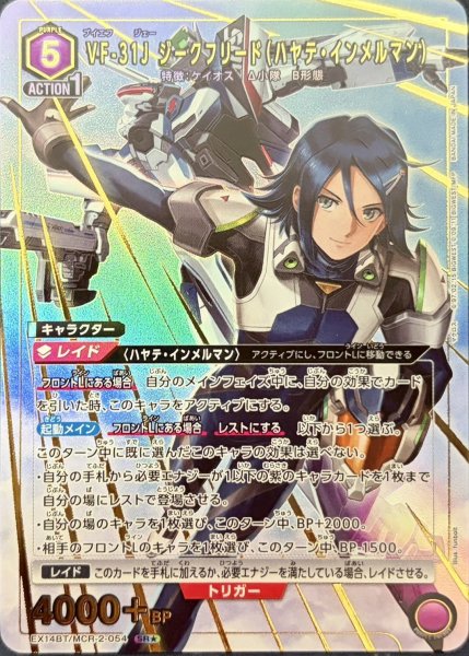 画像1: VF-31J ジークフリード（ハヤテ・インメルマン） (1)