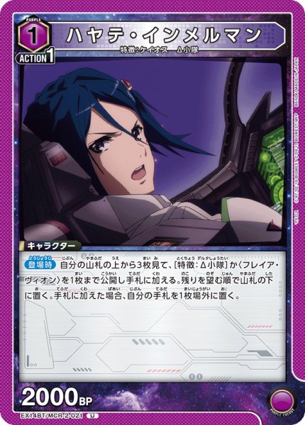 画像1: ハヤテ・インメルマン (1)