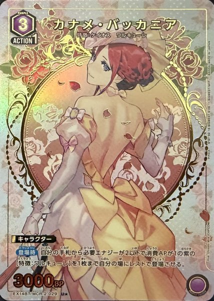 画像1: カナメ・バッカニア (1)