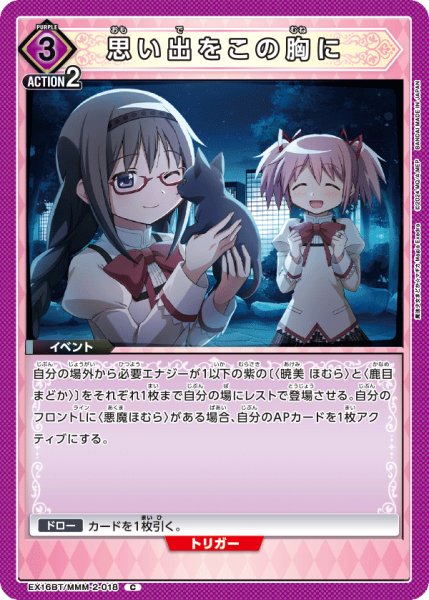 画像1: 思い出をこの胸に (1)
