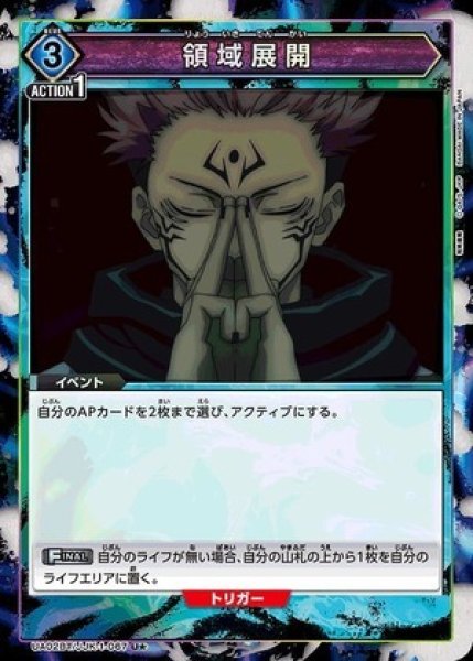 画像1: 領域展開 (1)