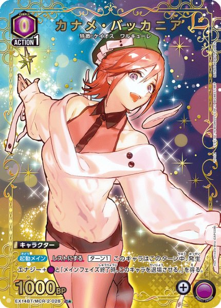 画像1: カナメ・バッカニア (1)