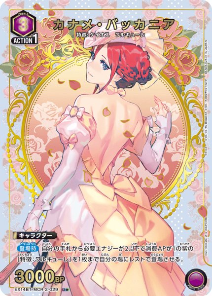 画像1: カナメ・バッカニア (1)