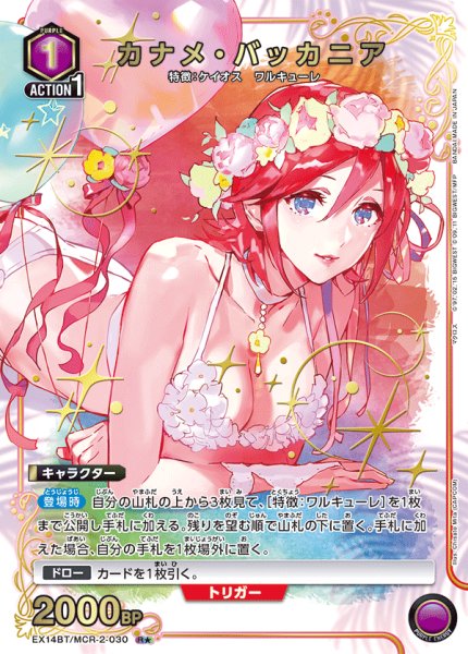 画像1: カナメ・バッカニア (1)