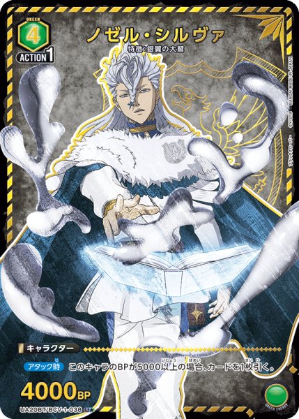 画像1: ノゼル・シルヴァ (1)
